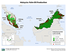 images\MY\cropprod\Malaysia_palm_preview.png